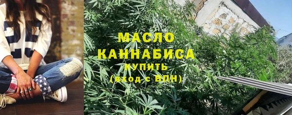 СК Алексин