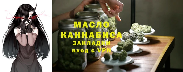 СК Алексин