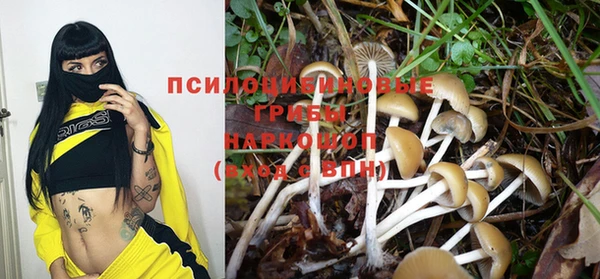 гидропоника Алзамай