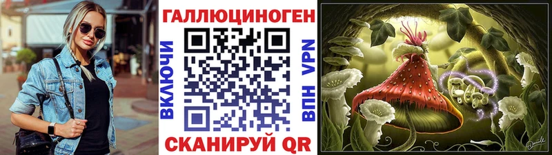 блэк спрут зеркало  Павловский Посад  Галлюциногенные грибы Magic Shrooms 