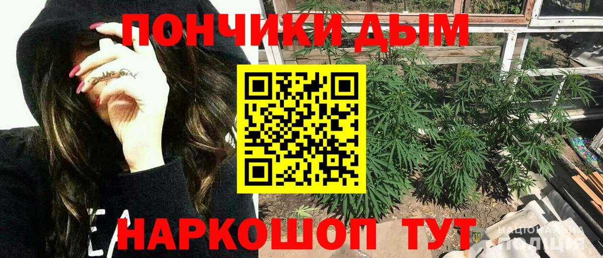Конопля план  Вход с VPN  Павловский Посад  Канабис SATIVA & INDICA 